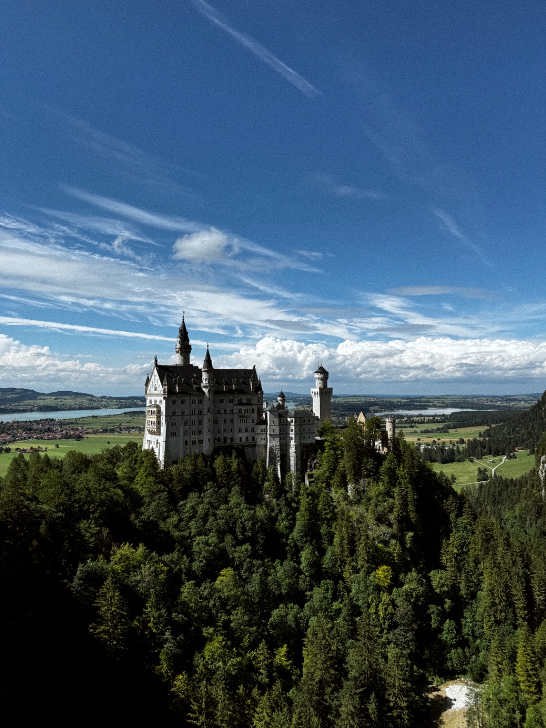 Neuschwanstein castle on a wooded hill above the Bavarian valley
